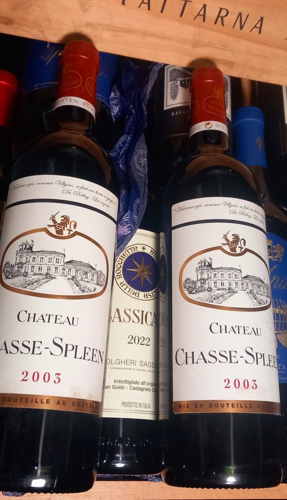 Chateau Chasse-Spleen, Moulis en Medoc