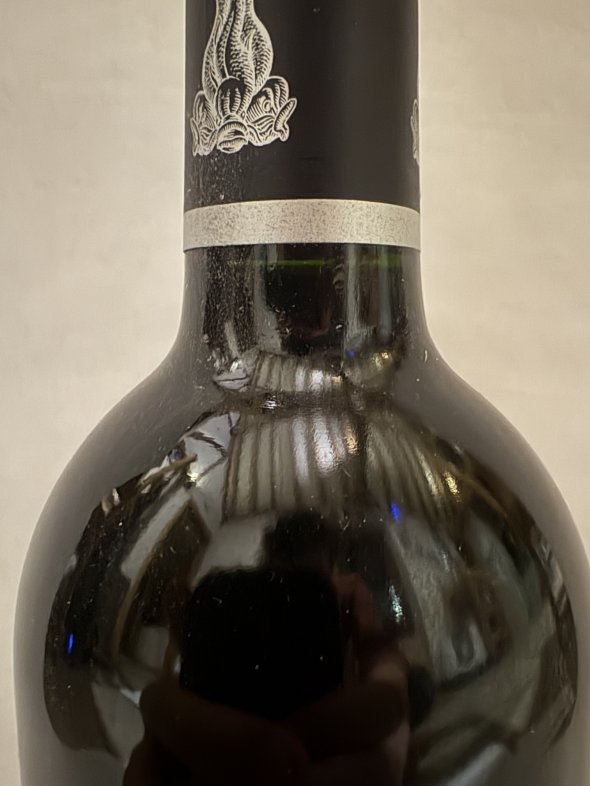 Chateau de la Dauphine, Fronsac