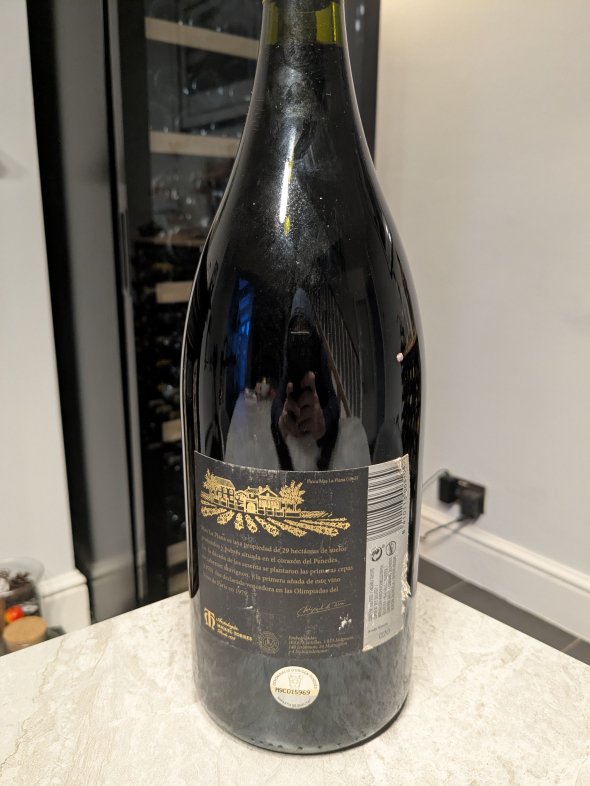 Torres, Penedes, Mas La Plana, Cabernet Sauvignon