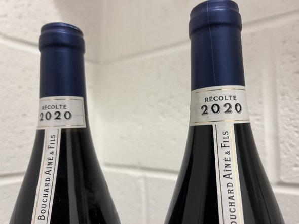 2020 Gevrey Chambertin Bouchard Aine & Fils
