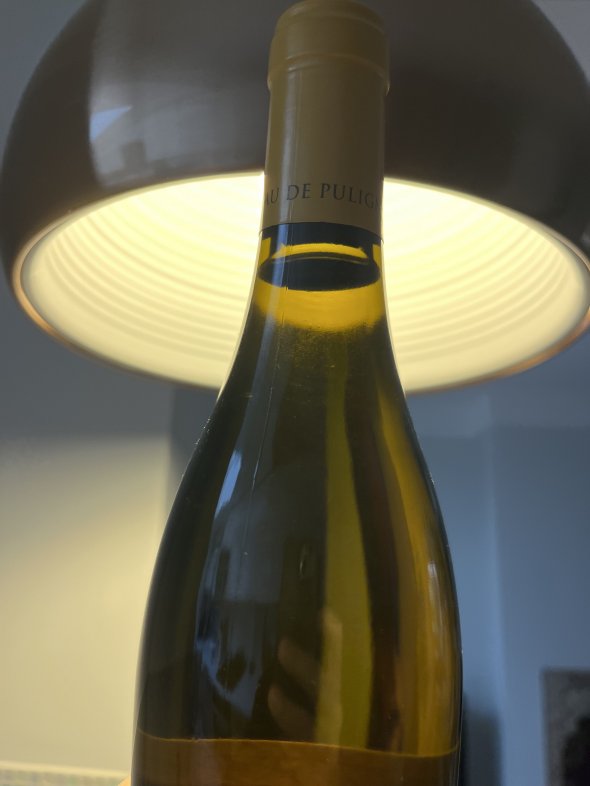 Chateau de Puligny-Montrachet, Puligny-Montrachet Premier Cru, Les Folatieres