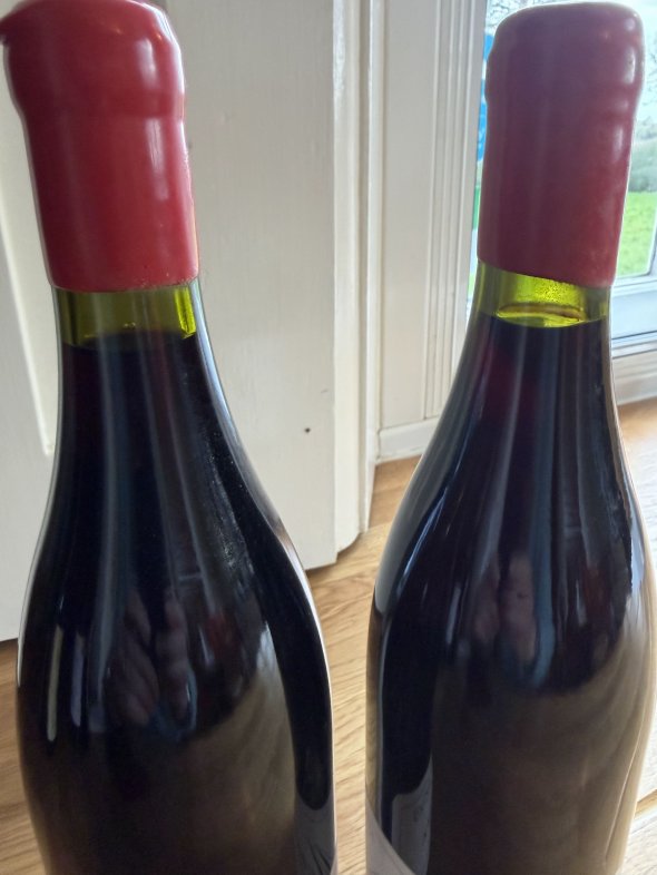 Marcel Lapierre, Morgon