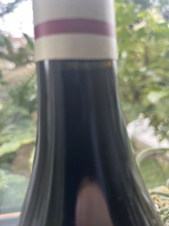 Fery-Meunier, Nuits-Saint-Georges Premier Cru, Les Damodes