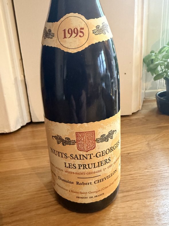 Domaine Robert Chevillon, Nuits-Saint-Georges Premier Cru, Les Pruliers