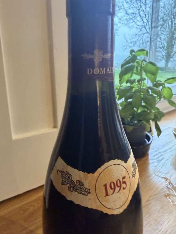 Domaine Robert Chevillon, Nuits-Saint-Georges Premier Cru, Les Pruliers