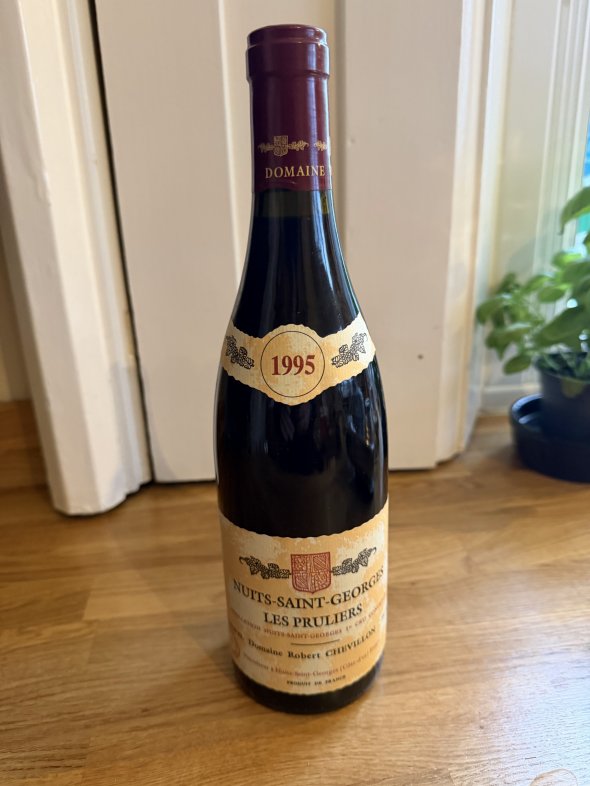 Domaine Robert Chevillon, Nuits-Saint-Georges Premier Cru, Les Pruliers