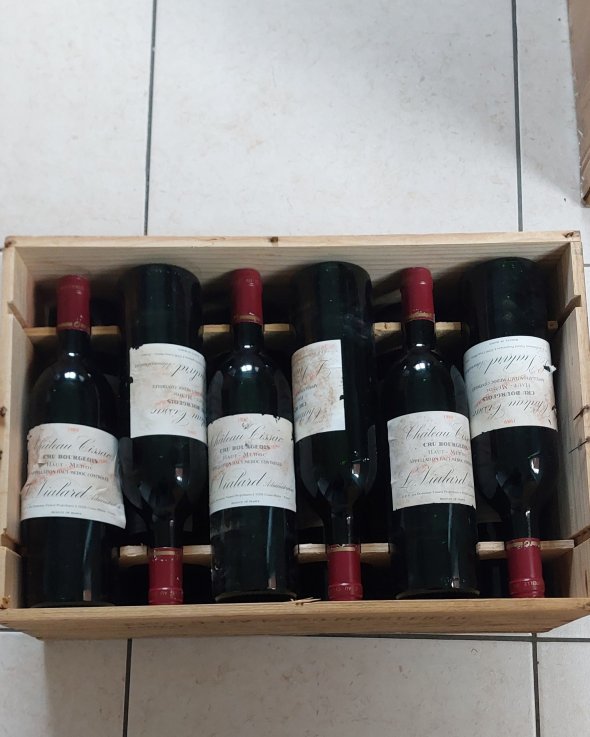 Chateau Cissac, Haut-Medoc