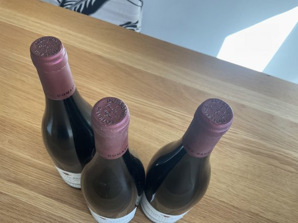 Domaine Pavelot, Savigny-les-Beaune Premier Cru, La Dominode