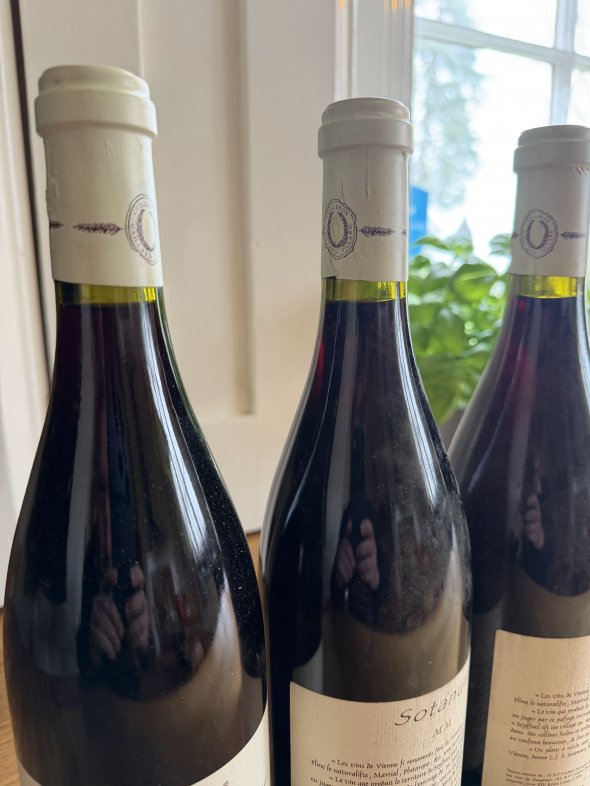 Les Vins de Vienne, Sotanum Rhodaniennes, Collines Rhodaniennes IGP