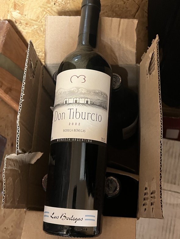 Benegas, Don Tiburcio, Mendoza