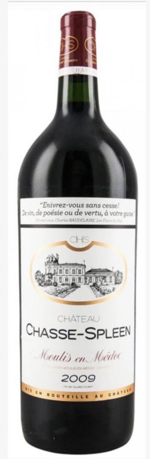 Chateau Chasse-Spleen, Moulis en Medoc