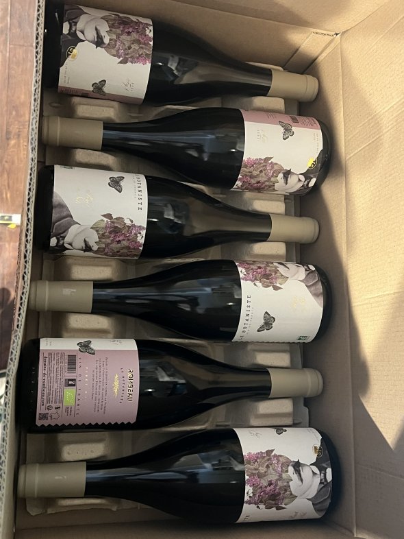 Le botaniste Pinot Noir