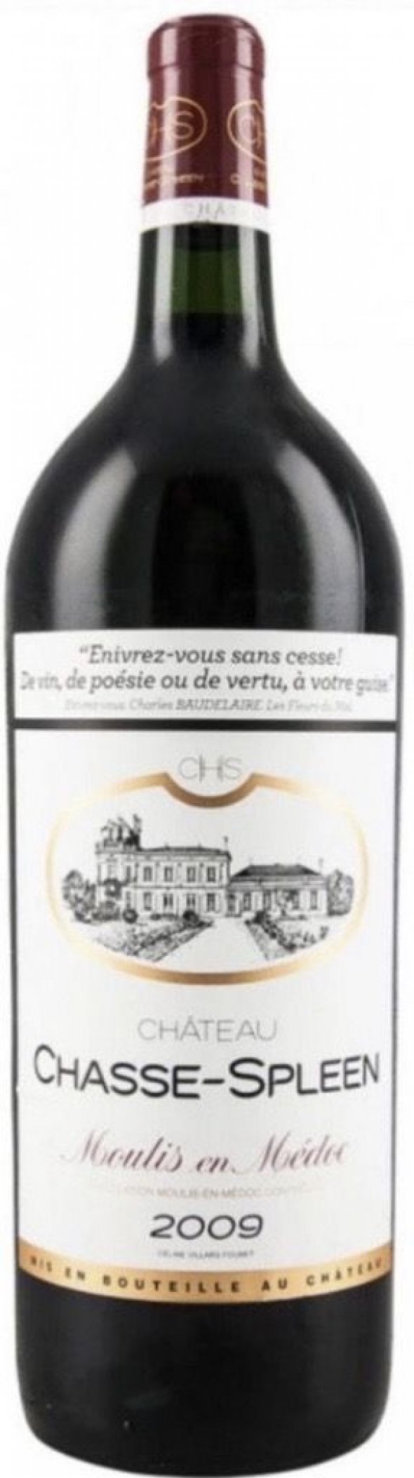 Chateau Chasse-Spleen, Moulis en Medoc