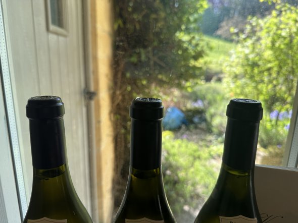 Domaine de la Vougeraie, Clos Blanc de Vougeot 1er Cru