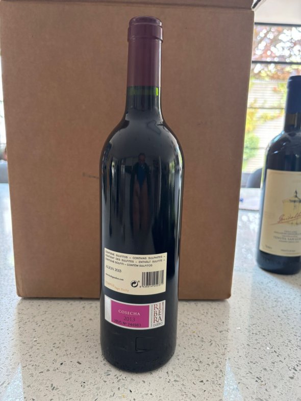 Vega Sicilia, Alion, Ribera del Duero