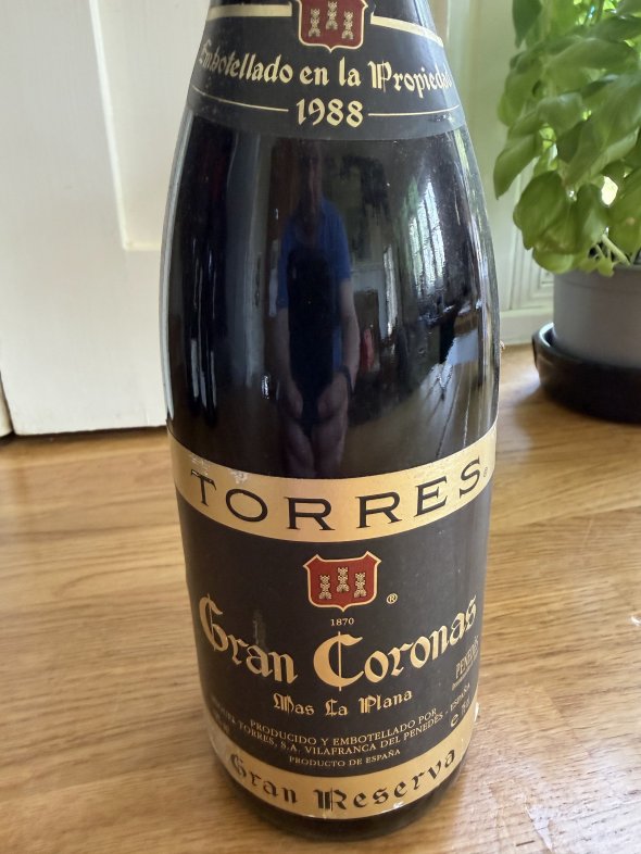 Torres, Penedes, Gran Coronas Mas Plana