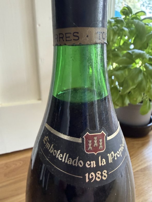 Torres, Penedes, Gran Coronas Mas Plana