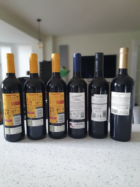 6 Mixed Spanish Reds