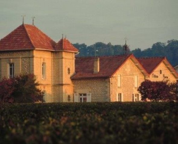 Chateau Pipeau, Saint-Emilion Grand Cru