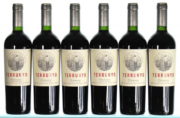 Concha Y Toro, Terrunyo Carmenere, Aconcagua