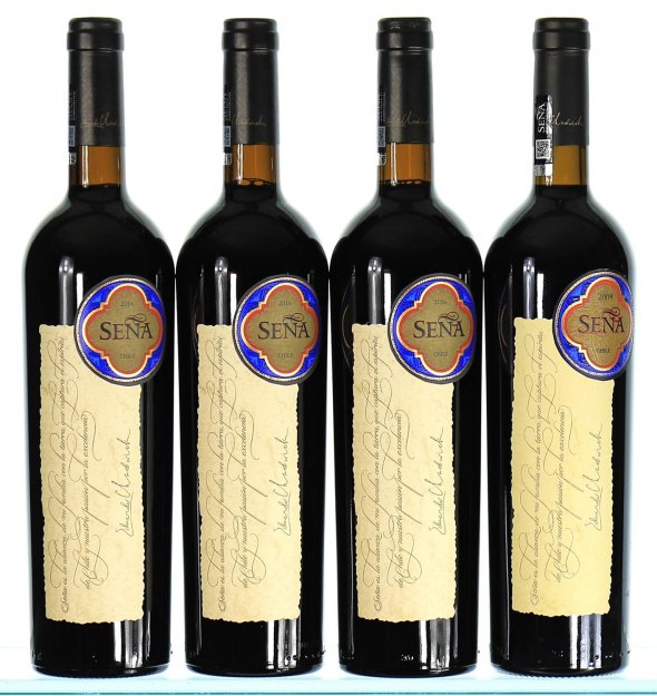 Vertical of Sena, Aconcagua, 2009/2016