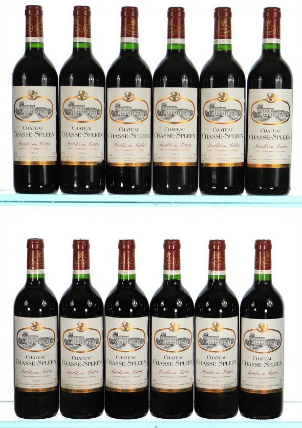 Chateau Chasse-Spleen, Moulis en Medoc