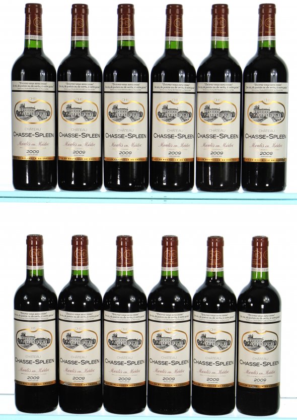 Chateau Chasse-Spleen, Moulis en Medoc