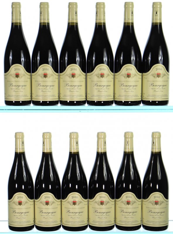 Odoul Coquard, Bourgogne, Pinot Noir