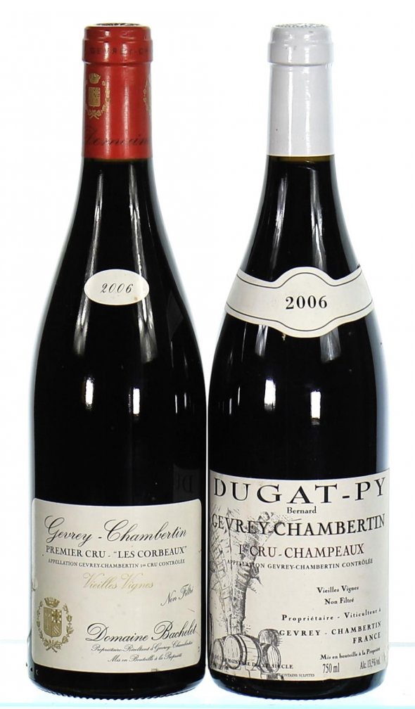 Mixed Gevrey-Chambertin Premier Cru - Two Great Estates