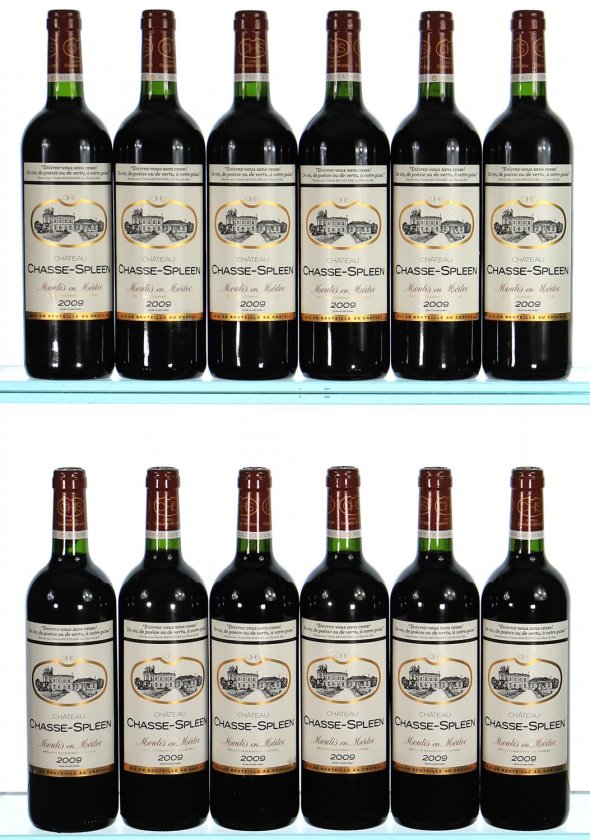 Chateau Chasse-Spleen, Moulis en Medoc