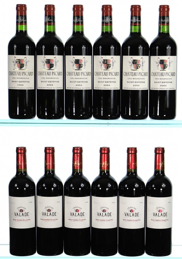 2004/2009 Mixed Left and Right Bank Case