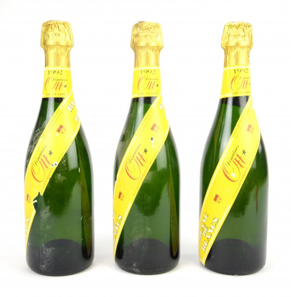 Mixed Sparkling Wines