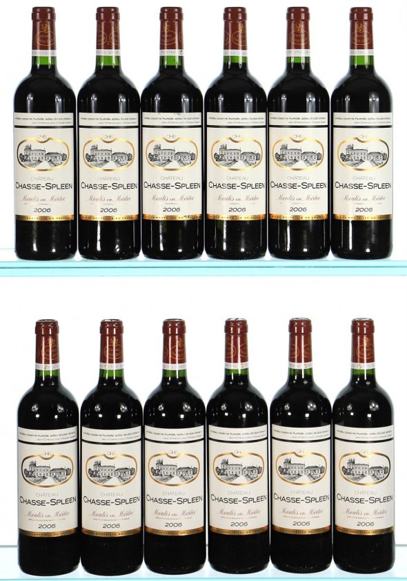 Chateau Chasse-Spleen, Moulis en Medoc