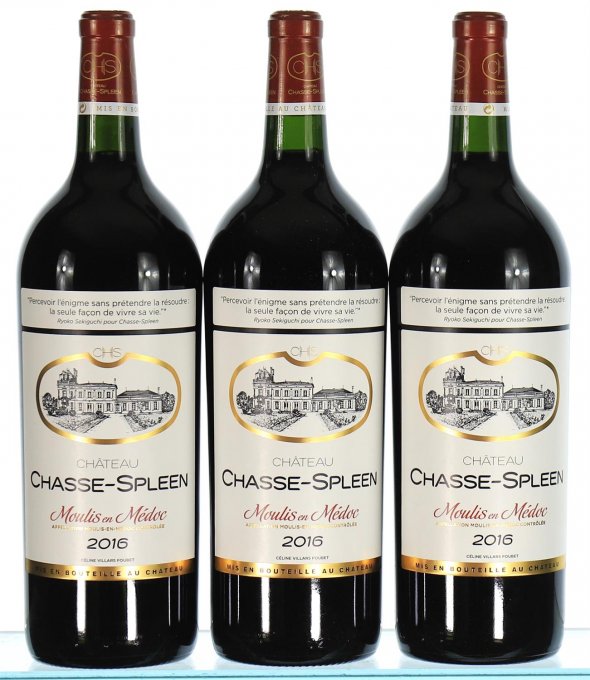Chateau Chasse-Spleen, Moulis en Medoc (Magnums)