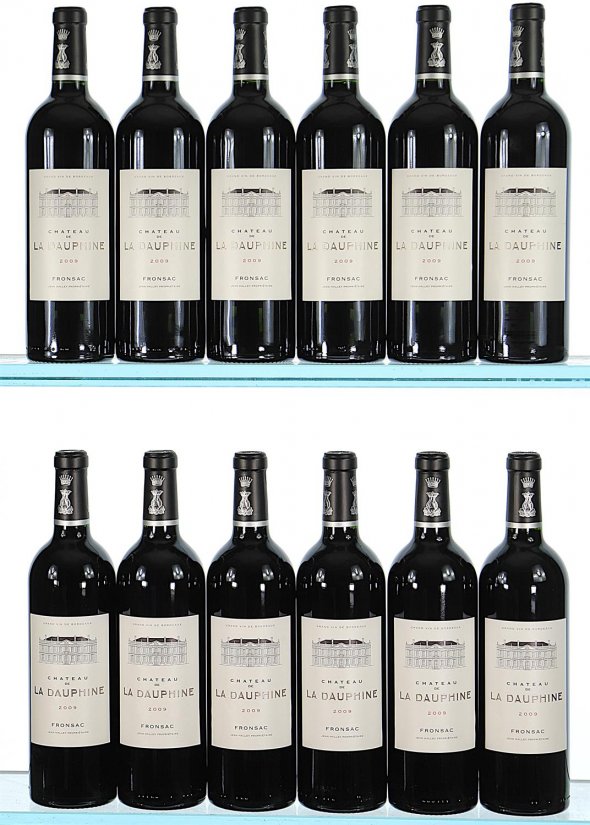 Chateau de la Dauphine, Fronsac