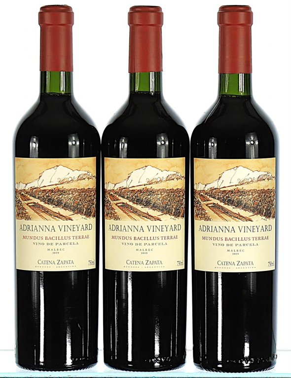 Catena Zapata, Adrianna Mundus Bacillus Terrae Malbec, Uco Valley