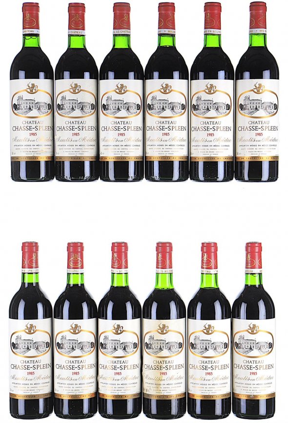 Chateau Chasse-Spleen, Moulis en Medoc