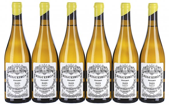 Bodegas Virgen del Galir 'Regueiron' Entoma Godello, Valdeorras - In Bond