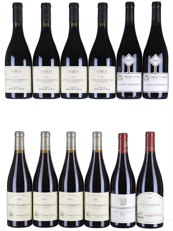 2010/2019 Mixed Lot of Gevrey Chambertin