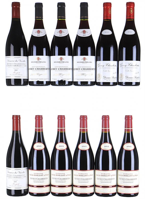 2015/2019 Mixed Lot of Gevrey Chambertin