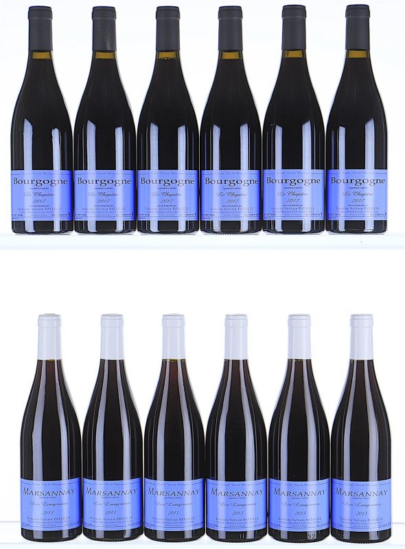 2013/2017 Mixed Lot from Domaine Sylvain Pataille