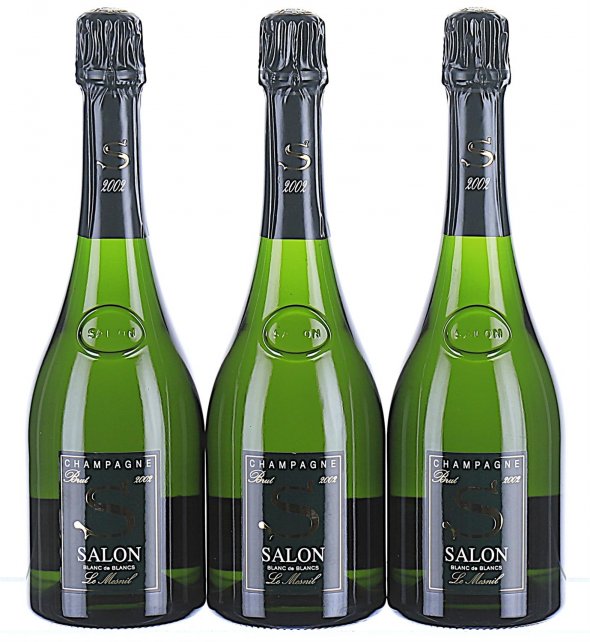 Salon, Le Mesnil