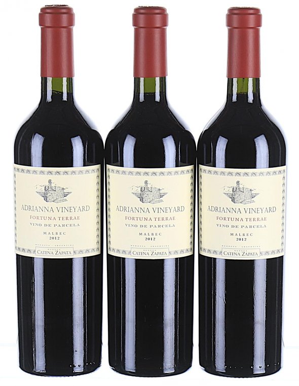 Catena Zapata, Gualtallary Adrianna Vineyard Fortuna Terrae Malbec, Tupungato - In Bond