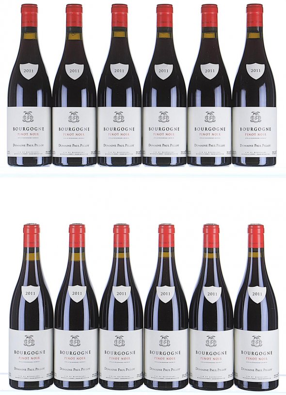Paul Pillot, Bourgogne, Pinot Noir - In Bond