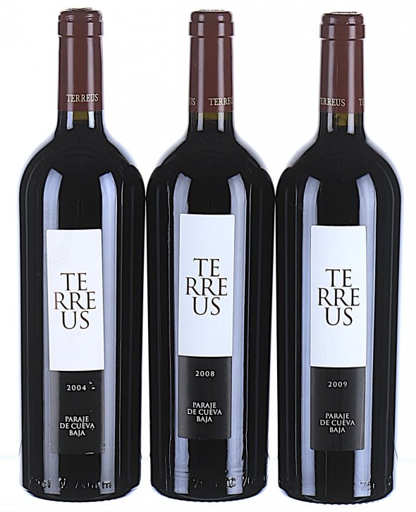 2004/2009 Mixed Lot of Mauro, Terreus Paraje de Cueva Baja, Castilla y Leon