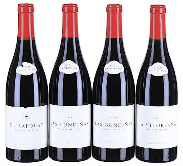 Mixed Lot from Raul Perez (Vizcaina), Bierzo