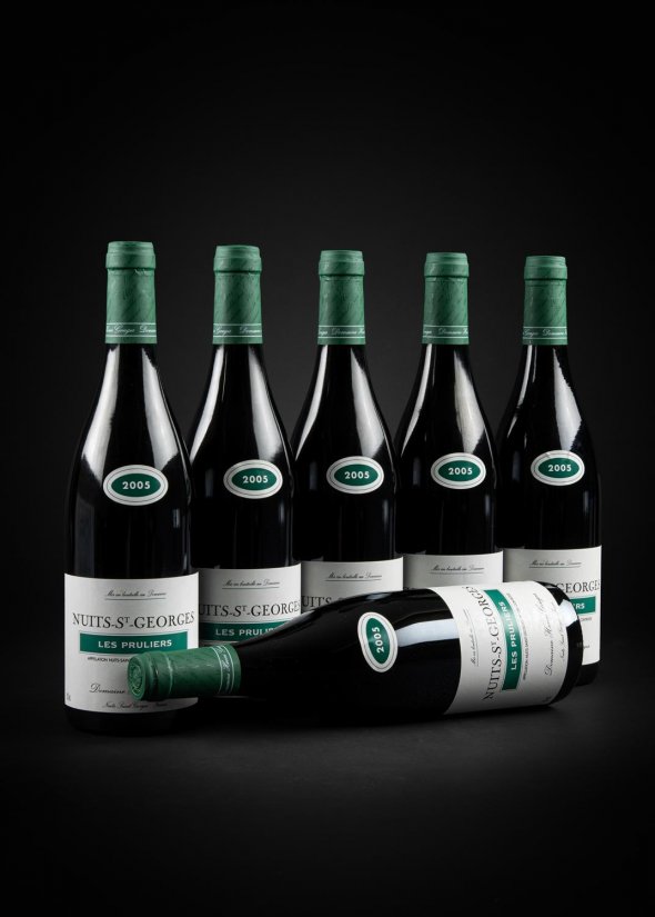 Domaine Henri Gouges, Nuits-Saint-Georges Premier Cru, Les Pruliers