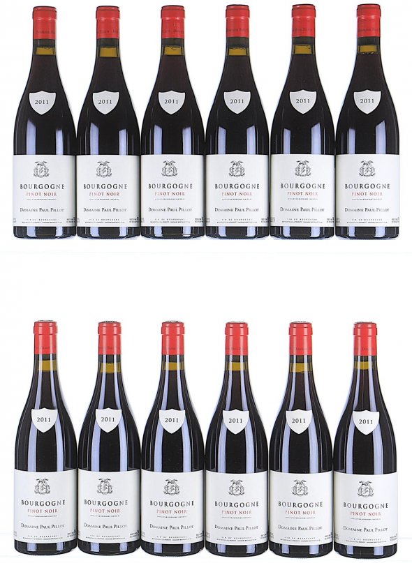 Paul Pillot, Bourgogne, Pinot Noir - In Bond