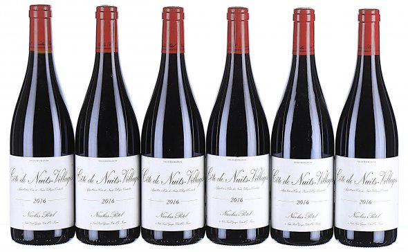 Nicolas Potel, Cote de Nuits-Villages