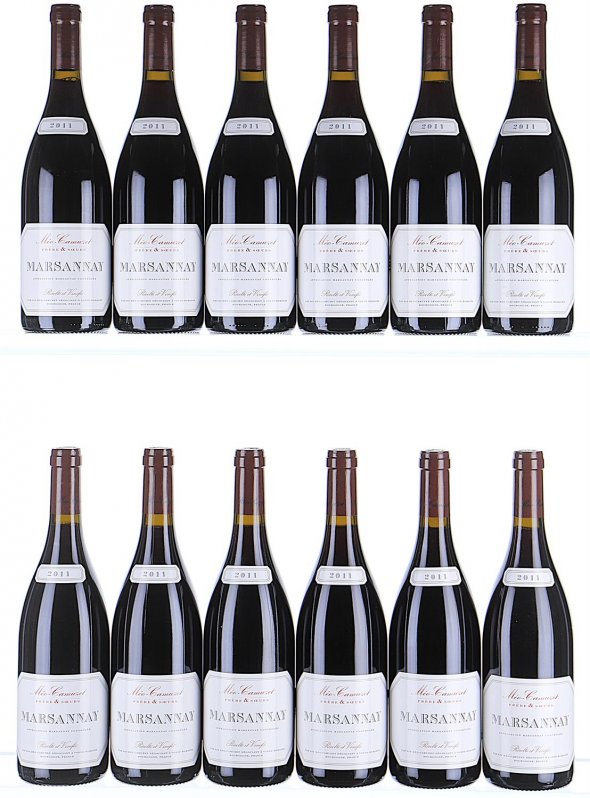 Meo Camuzet Frere et Soeurs, Marsannay  - In Bond